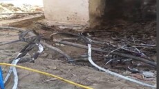 شاهد بالفيديو: انفجار صندوق كهرباء في شارع الصحافة بالحوامدية .. إصلاح الأعطال في وقت قياسي