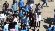 ارشيفية