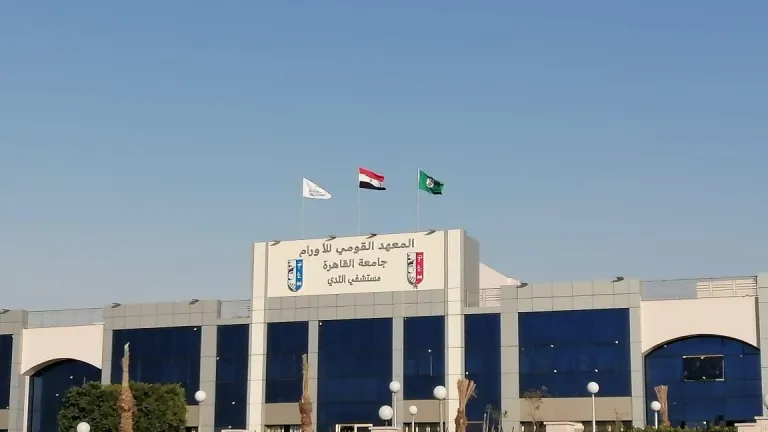 رئيس جامعة القاهرة وعميد معهد الأورام: ذهبية مستشفى الثدي شهادة عالمية على التميز الطبي