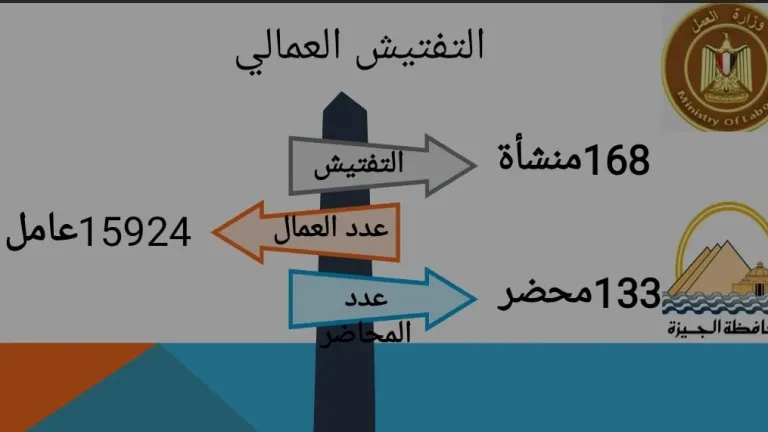 محافظ الجيزة يشدد الرقابة: تفتيش 168 منشأة وضبط 133 مخالفة عمالية