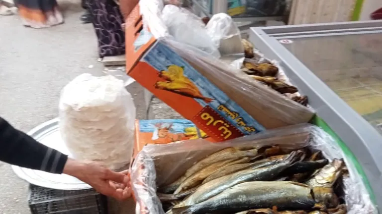 طن وراء الآخر .. كواليس الإطاحة بمخزون هائل من الأسماك الفاسدة فى الجيزة
