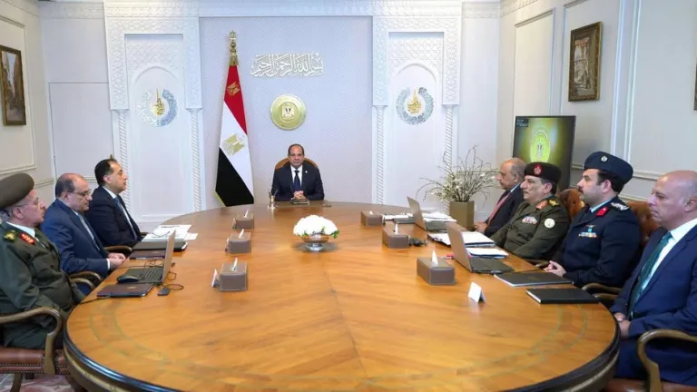 في اجتماع رفيع المستوى .. السيسي يتابع خطط تأمين الكهرباء للمشروعات الزراعية القومية