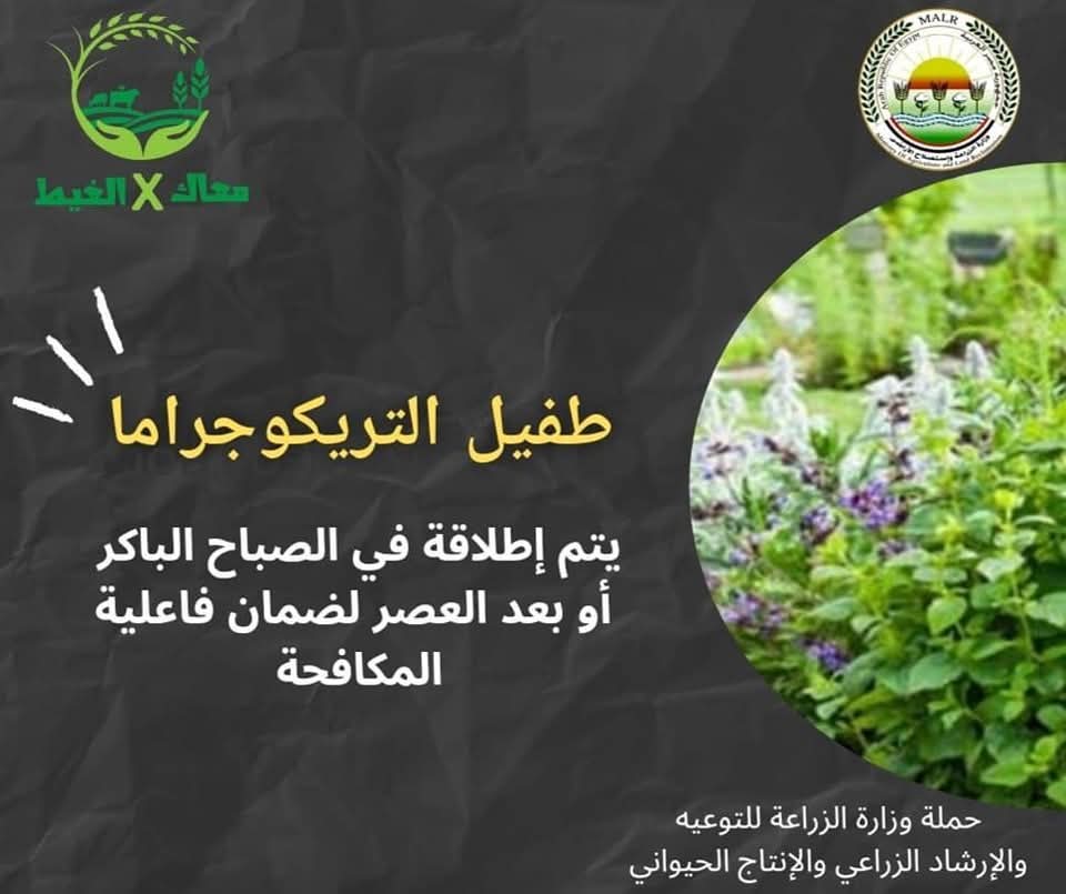 إطلاق حملة "معاك في الغيط" لتقديم الدعم الفني والمعلومات للمزارعين في مكافحة الآفات