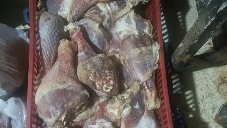 مجزرة غذائية تُحبطها الرقابة في الجيزة .. ضبط أطنان من اللحوم والدواجن الفاسدة