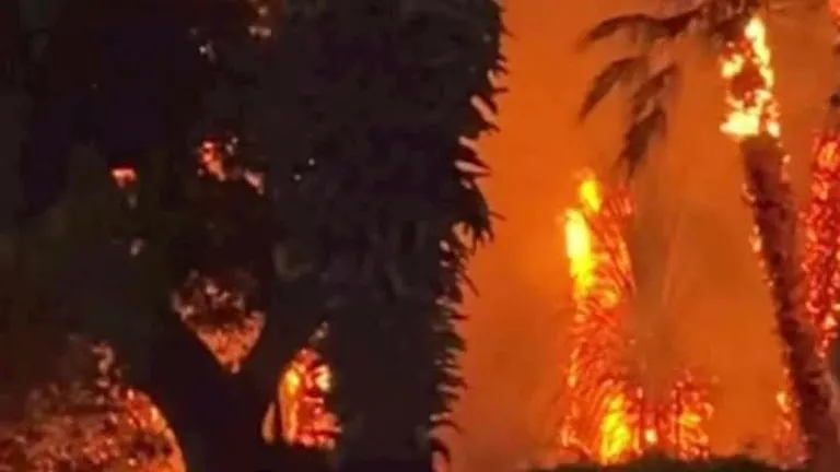 لحظة بلحظة .. كيف نجت المعادي من حريق كبير؟