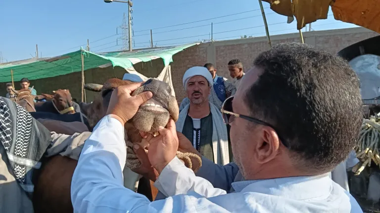 ذبحك للأضحية في الشارع قد يوقعك في الخطأ .. وهذا هو البديل!