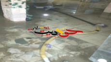 شاهد بالفيديو | كارثة تحت الأرض تهدد الحوامدية .. منازل تنهار والمسؤولون ينتظرون إذن كسر الأسفلت!