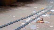 إلى محافظ الجيزة ورئيس كهرباء جنوب القاهرة : أهالي القصبجي يصرخون .. والمولدات انهارت! .. كابلات عارية (شاهد بالفيديو والصور)