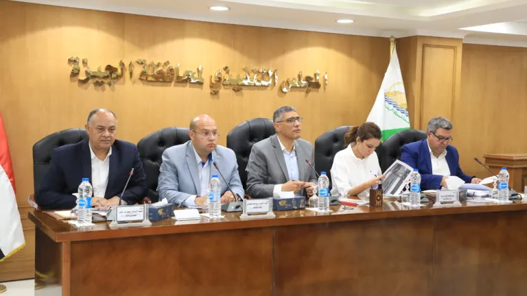"انزلوا الشارع" .. محافظ الجيزة يوجه رسائل نارية لمسؤولي الأحياء والمراكز