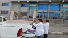 الجيزة تتحرك بصمت .. والكلاب ترد بعنف! .. ما الذي يحدث في إمبابة؟