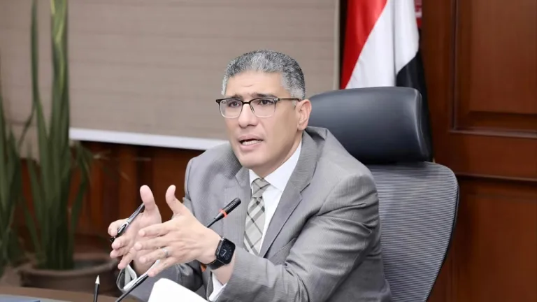 حملات الجيزة تفرض الانضباط .. وأبو النمرس في الصدارة بـ14 ألف حالة إزالة