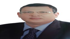 بعد فشل مفاوضات جنيف .. شباب 18 دولة يطلقون صرخة إنذار من الغردقة لحماية الكوكب