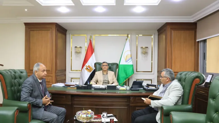 محافظ الجيزة ومساعد وزير الصحة .. خطة عاجلة لإنقاذ المستشفيات