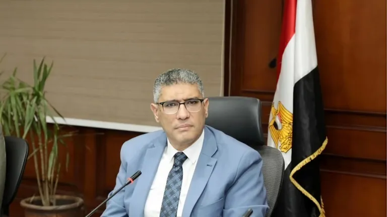 فوضى "التوك توك" في قبضة الجيزة .. المحافظ يعلن الحرب على العشوائية ويأمر بترقيم المركبات