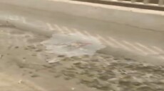 تراكم الاتربة والرتش على جانب الكوبرى