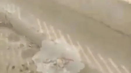 كوبرى والى يئن من الإهمال .. أهالى القصبجى يستغيثون برئيس حى جنوب الجيزة| شاهد الفيديو