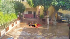 بعد صرخة أولياء الأمور .. استجابة عاجلة لـ “حواديت اون لاين” تنقذ طلاب مدرسة الشهيد طلعت عبد الوراث بالحوامدية