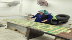 لحوم فاسدة ودقيق مدعم وسجائر وسولار .. ضبطيات بالمئات في قبضة تموين الجيزة