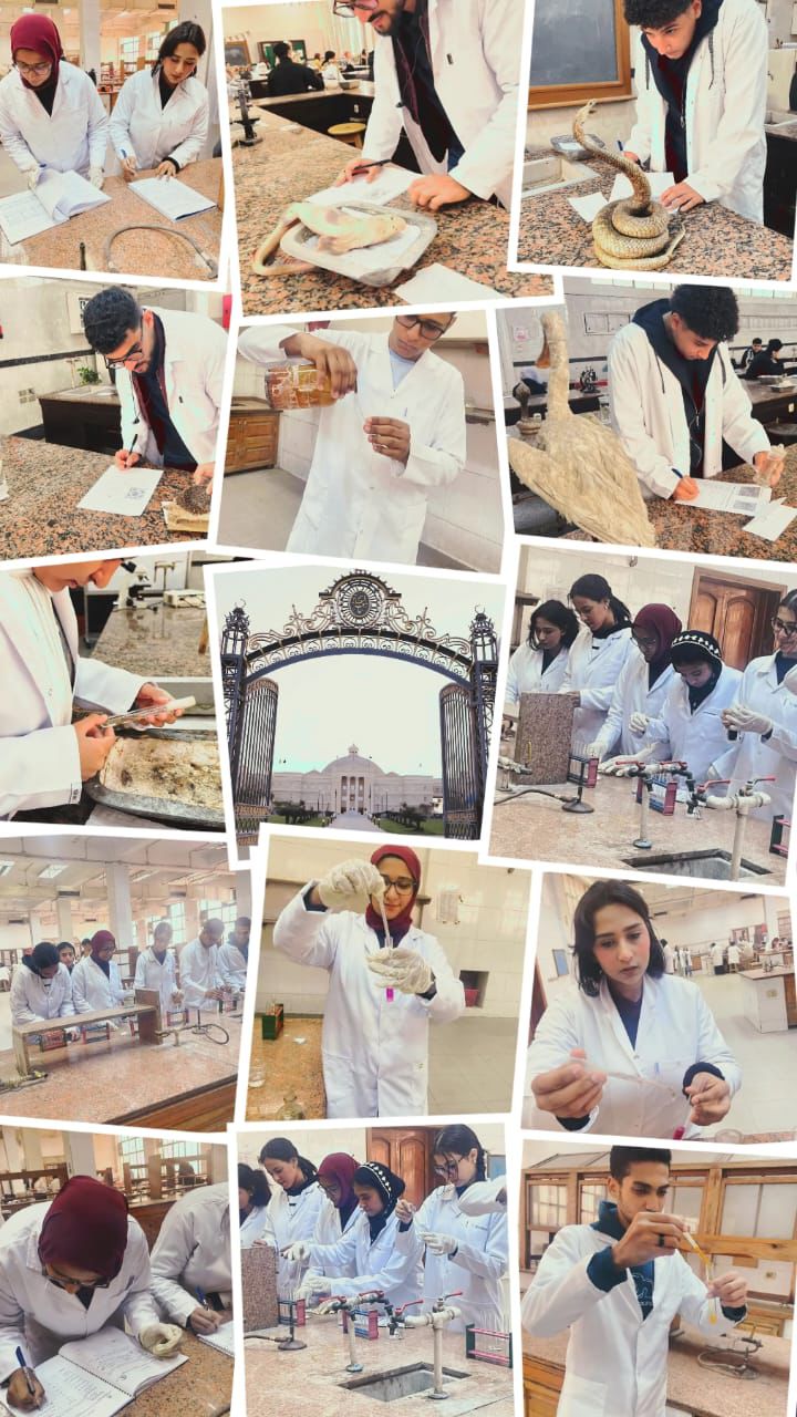 معامل الجامعة الأم تفتح أبوابها لطلاب علوم القاهرة الأهلية استعدادًا لامتحانات العملي