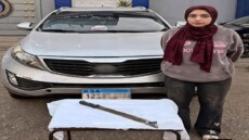 فيديو صادم يهز الشارع .. سيدة تنزل من سيارة وتهاجم سائقًا بساطور