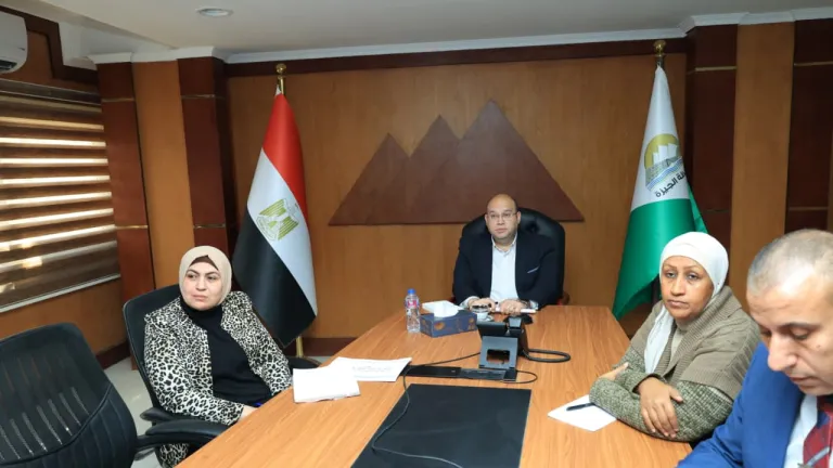دور قيادي لنائب محافظ الجيزة في تجهيز البنية التكنولوجية لمجمعات "حياة كريمة"
