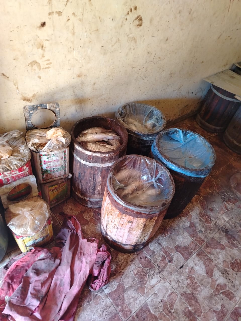 قبل شم النسيم .. الجيزة تضبط أطنان “الفسيخ الفاسد” وتحذيرات عاجلة للمواطنين