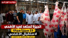جولة مفاجئة لمحافظ الجيزة داخل المجازر استعدادًا لاستقبال آلاف الأضاحي