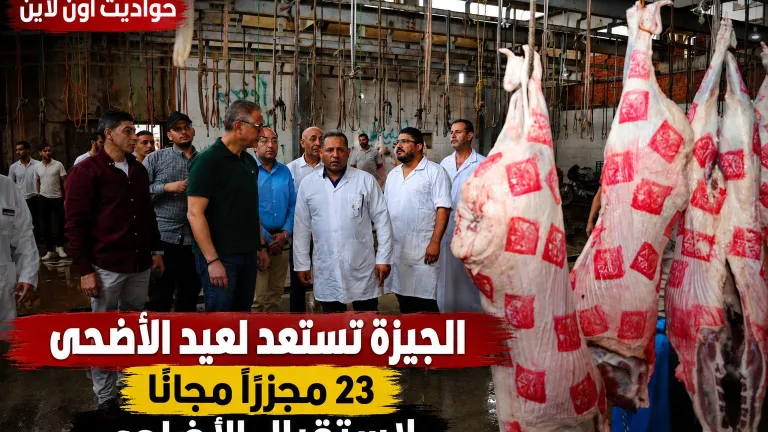 جولة مفاجئة لمحافظ الجيزة داخل المجازر استعدادًا لاستقبال آلاف الأضاحي