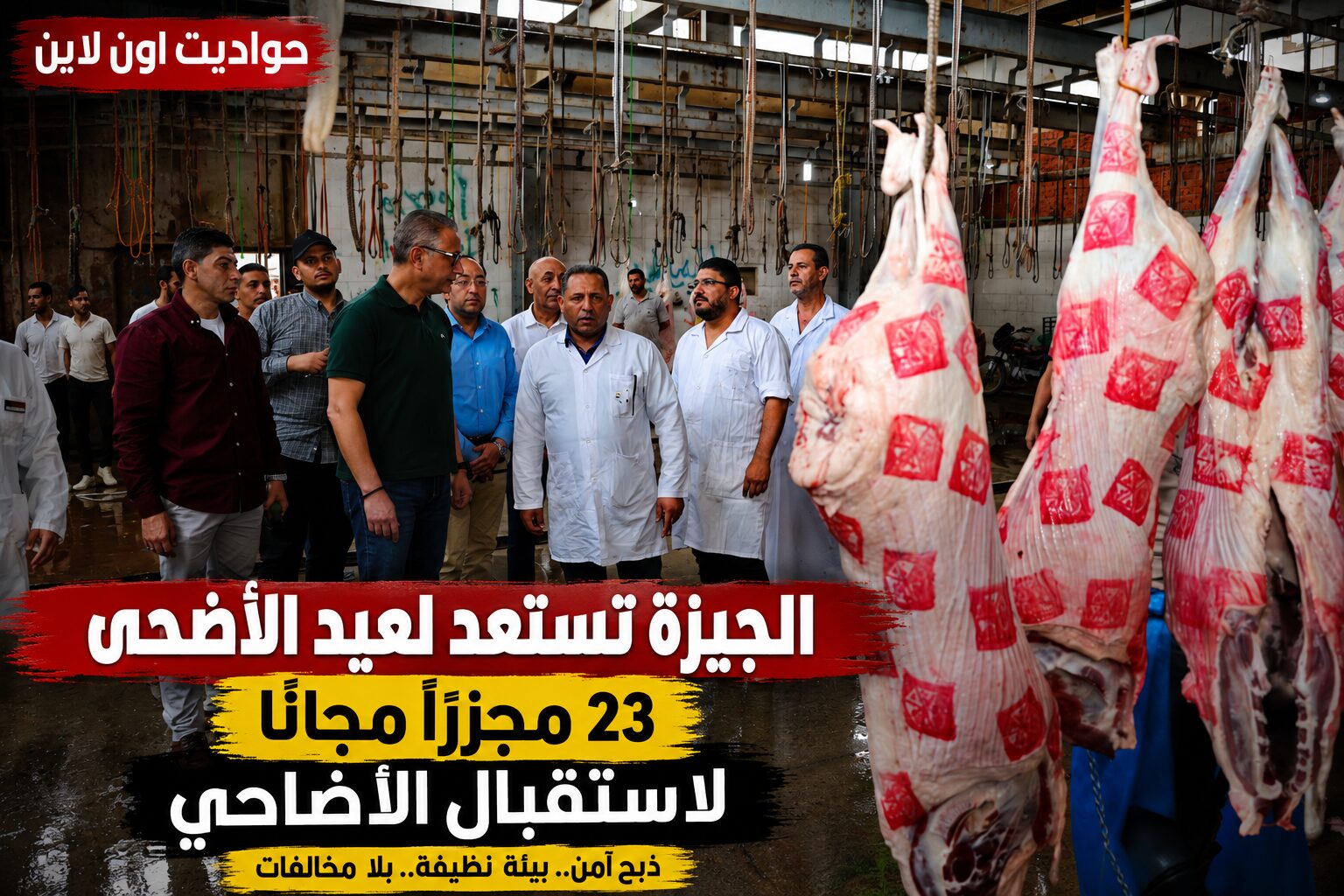 جولة مفاجئة لمحافظ الجيزة داخل المجازر استعدادًا لاستقبال آلاف الأضاحي