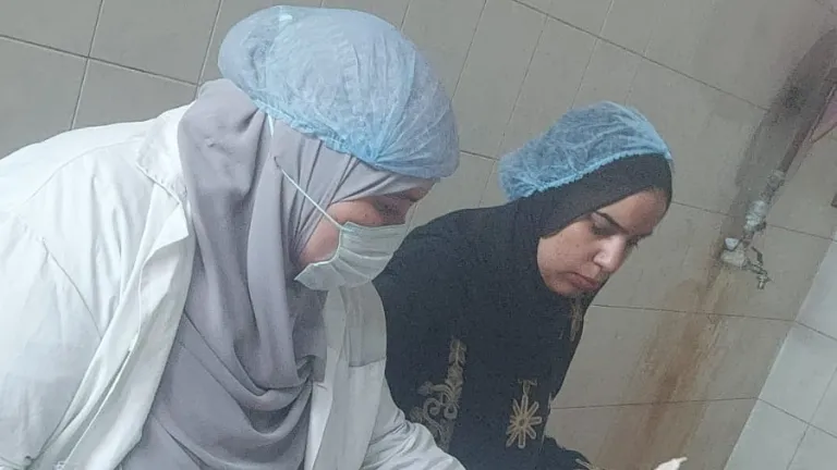 محافظ الجيزة يتابع أعمال المجازر: تطبيق صارم للاشتراطات الصحية وإعدام غير الصالح