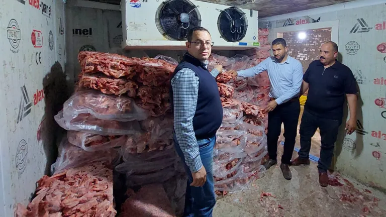 فضيحة غذائية بالجيزة .. ضبط كميات ضخمة من الدواجن الفاسدة وبطاقات تموينية داخل مخابز