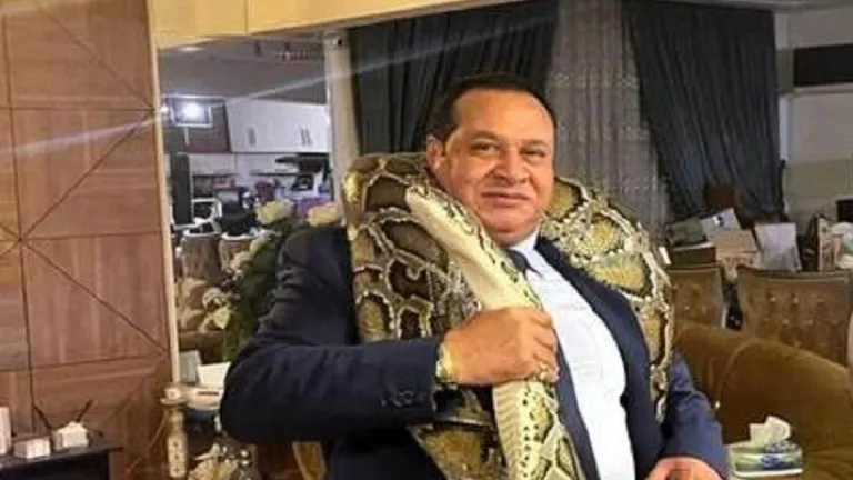 لم تكن مجرد قضية بلطجة .. ما كشفته التحقيقات في منزل صبري نخنوخ فاجأ الجميع
