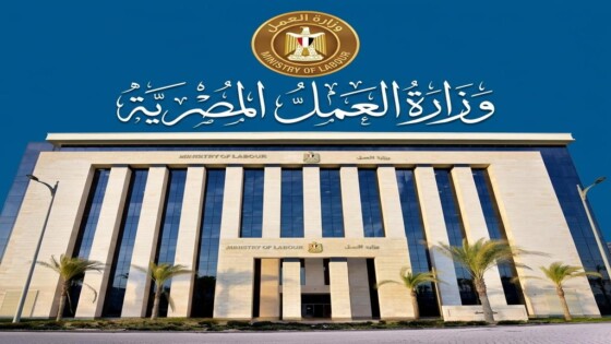 فرصة عمل أم فخ للنصب؟ .. وزارة العمل تكشف الحقيقة الكاملة وتحذر من صفحات وهمية تستهدف الشباب