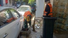 الأنصاري يقود جولة ميدانية حاسمة بالجيزة .. إزالة فورية لمخالفات البناء والتعديات على الأراضي الزراعية وقرارات عاجلة لرفع الإشغالات والقمامة