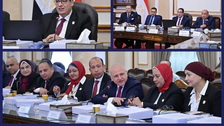 مجلس جامعة القاهرة يرسم خريطة العمل للعام الجامعي الجديد .. «مرصد لوظائف المستقبل» وشركة للاستثمار والتنمية ودعم موسع للطلاب