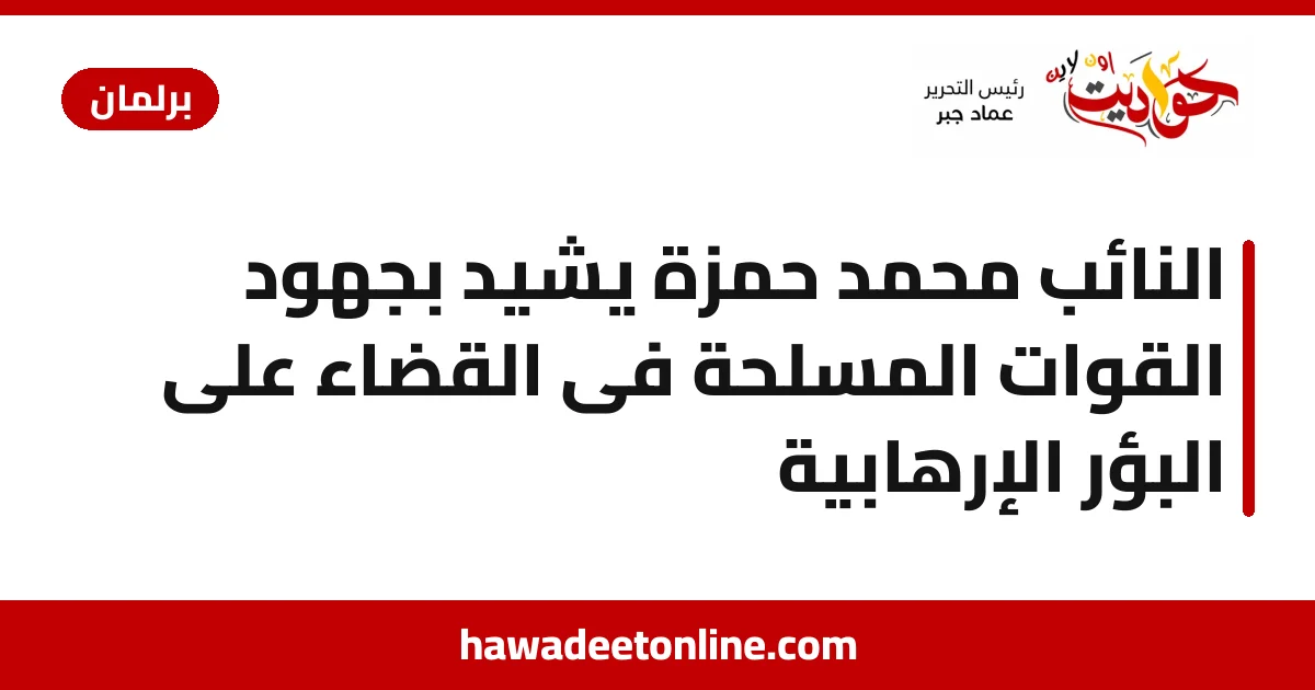 النائب محمد حمزة يشيد بجهود القوات المسلحة فى القضاء على البؤر الإرهابية