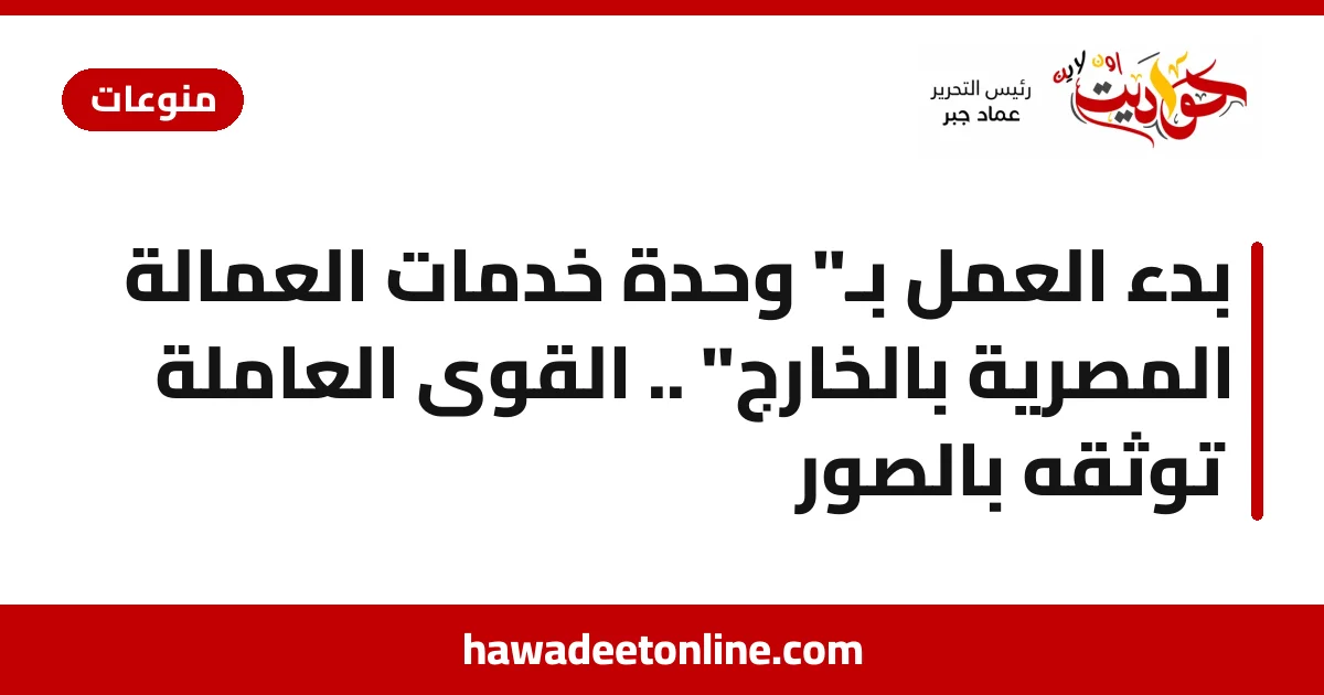 بدء العمل بـ" وحدة خدمات  العمالة المصرية بالخارج" .. القوى العاملة توثقه بالصور