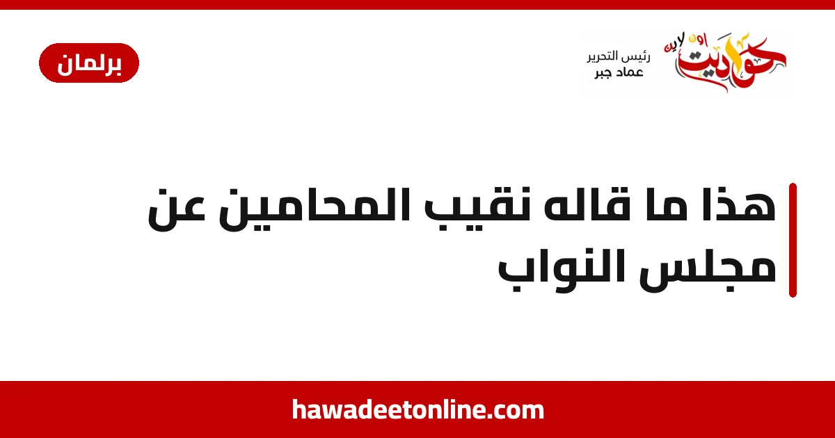 هذا ما قاله نقيب المحامين عن مجلس النواب