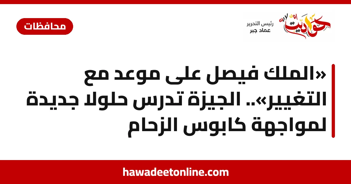 «الملك فيصل على موعد مع التغيير».. الجيزة تدرس حلولًا جديدة لمواجهة كابوس الزحام